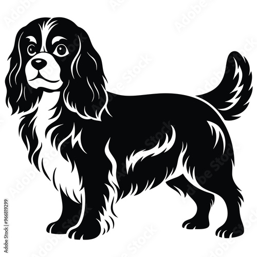 cute cavalier king charles spaniel dog
