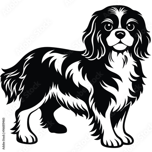cute cavalier king charles spaniel dog