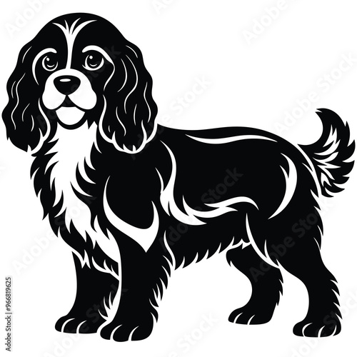 cute cavalier king charles spaniel dog