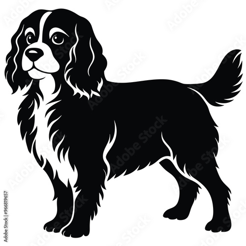 cute cavalier king charles spaniel dog