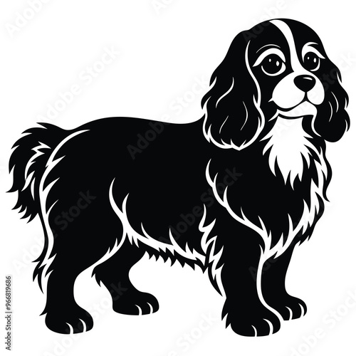 cute cavalier king charles spaniel dog