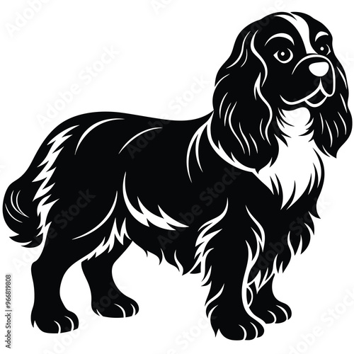 cute cavalier king charles spaniel dog