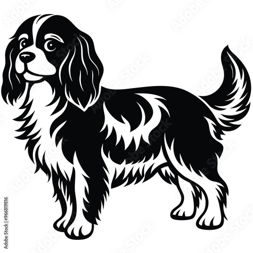 cute cavalier king charles spaniel dog