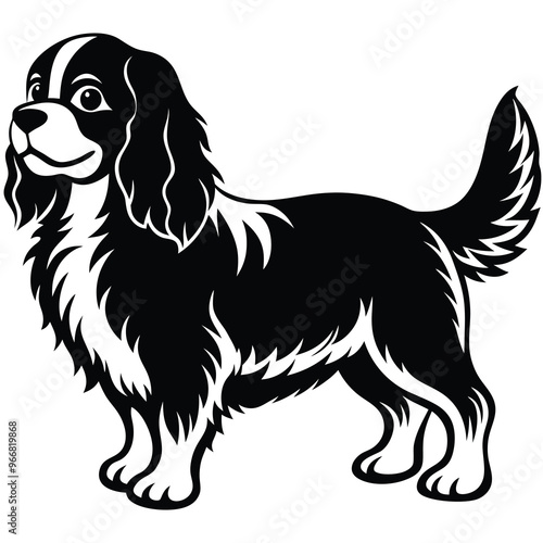 cute cavalier king charles spaniel dog