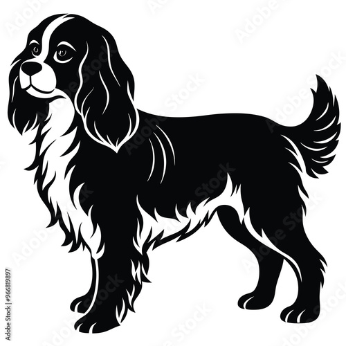 cute cavalier king charles spaniel dog