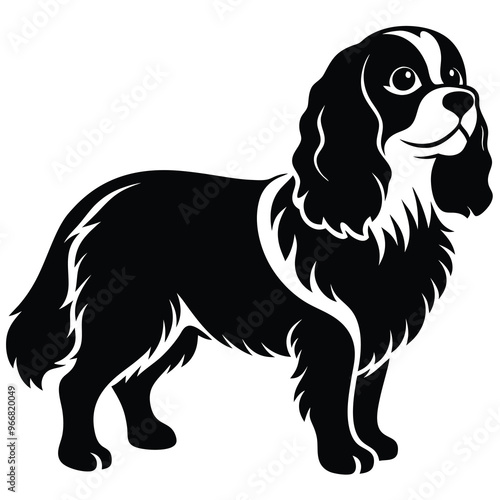 cute cavalier king charles spaniel dog