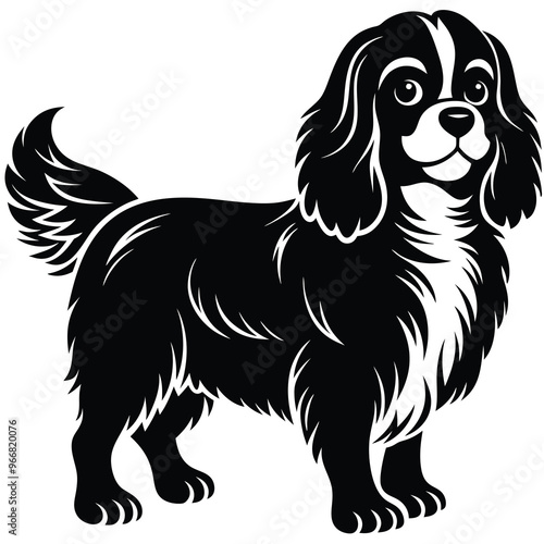 cute cavalier king charles spaniel dog