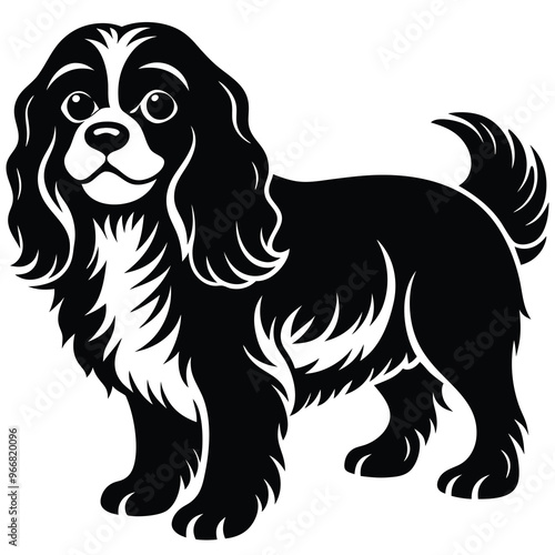 cute cavalier king charles spaniel dog