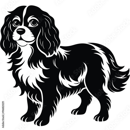 cute cavalier king charles spaniel dog