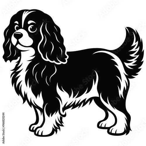 cute cavalier king charles spaniel dog