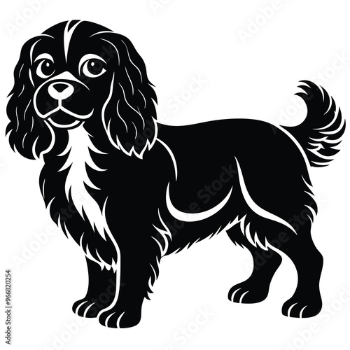 cute cavalier king charles spaniel dog