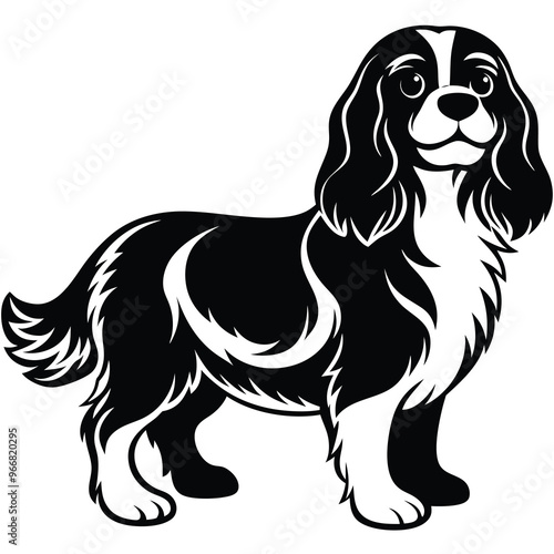 cute cavalier king charles spaniel dog