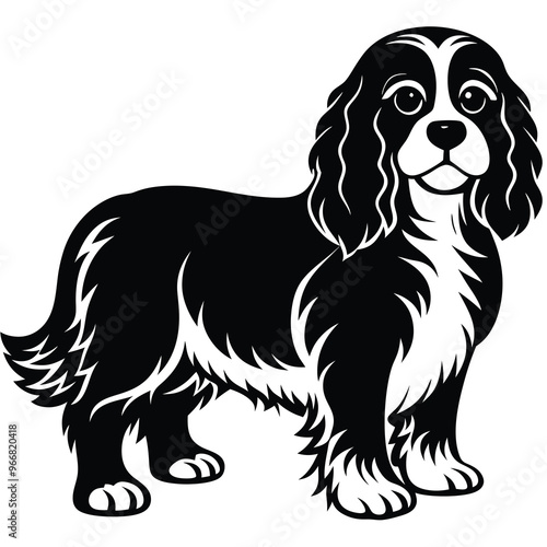 cute cavalier king charles spaniel dog