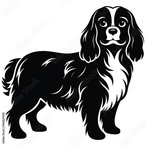 cute cavalier king charles spaniel dog
