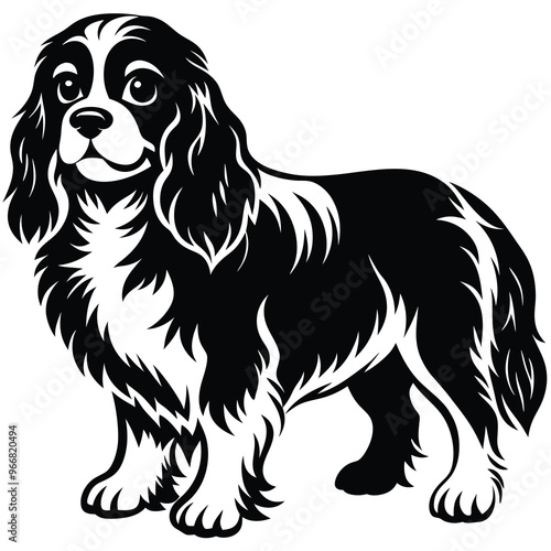 cute cavalier king charles spaniel dog