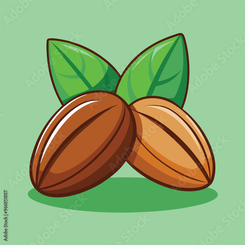 Almond nut design vector illustration. Almond vector.