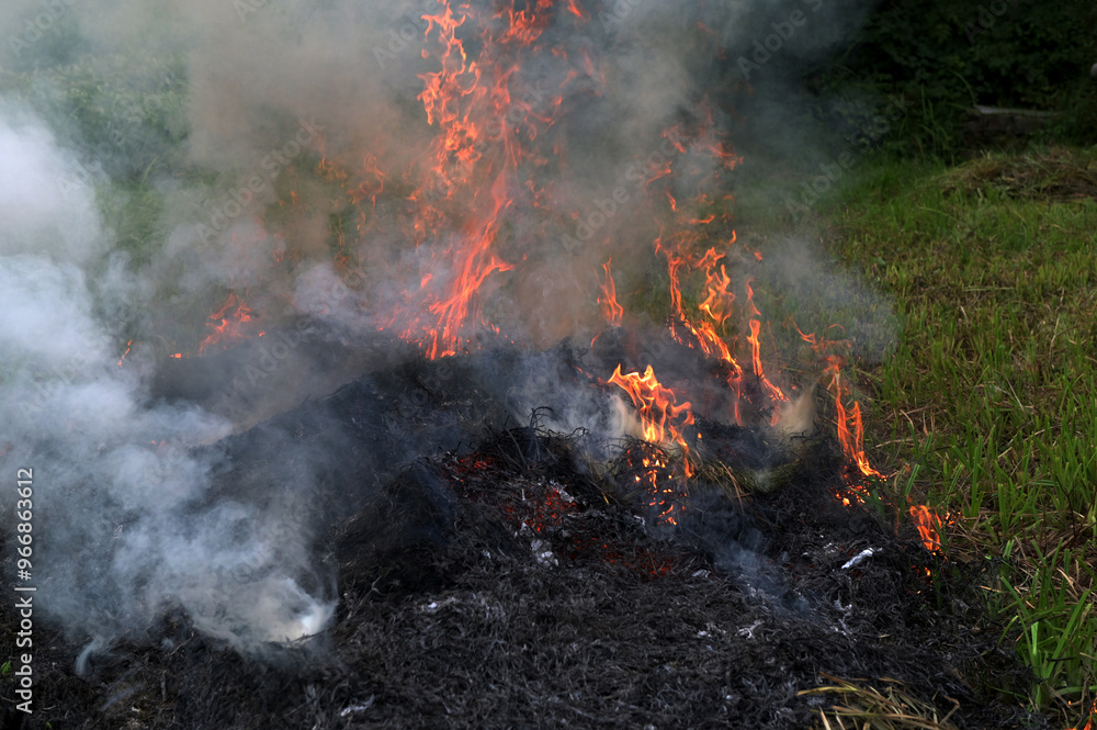 fire and lots of smoke in an open space fire and lots of smoke in an open space