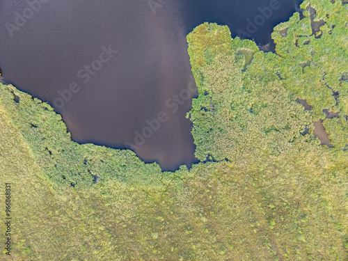 Aerial view of lake or river green shore with forest. Summer season.