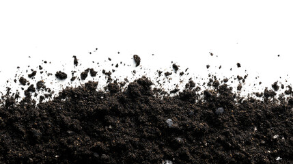 land on a transparent background