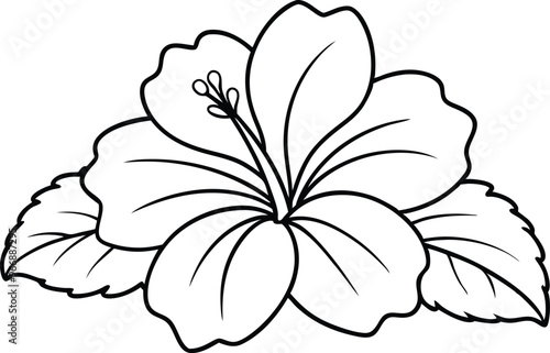 Tropical Hibiscus Flower Coloring Page - Cartoon Vector Illustration, Logo Icon, Clipart Design, Line Art, Silhouette 