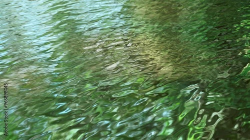 水面に映る緑の木々