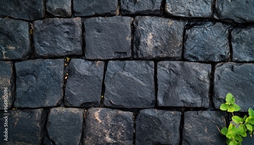 A Close-Up View of a Black Stone Pavement with Green Foliage