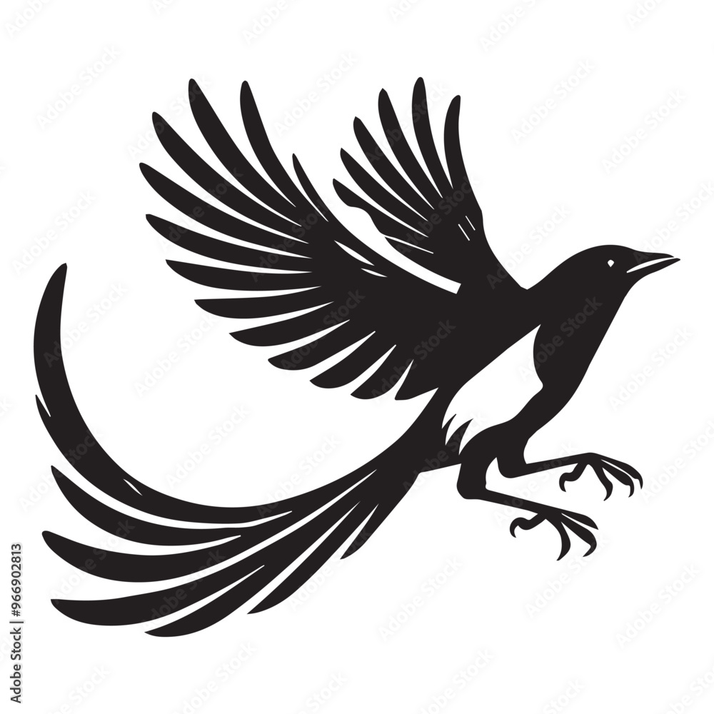 Fototapeta premium American magpie Clipart - Black-billed Magpie Vector Illustration in black and white 