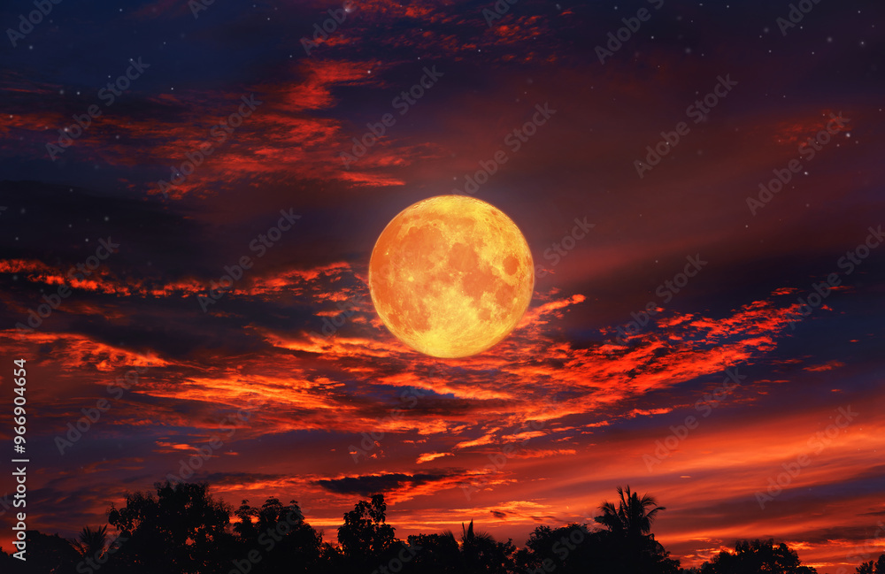 Blood moon concept of a red full moon in black sky with cloud. Blood moon concept of a red full moon in black sky with cloud.
