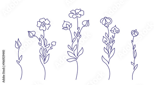 Set of wild flowers and plants of flax Line symbol