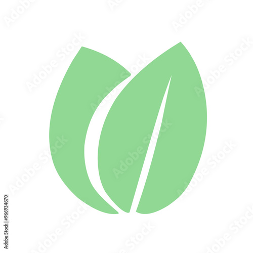 abstract leaf icons natural illustration photo