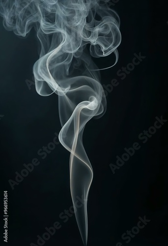 Wallpaper Mural Smoke Plume on Black Background. Abstract Swirling Pattern of Smoke. Torontodigital.ca