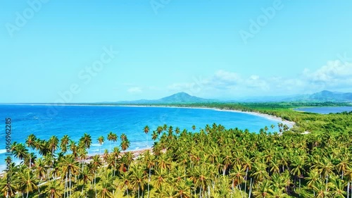 Landscape of a large wild palm beach with white sand and turquoise sea. Tall palm trees and blue sky. Tropical paradise island in Dominican Republic. The most beautiful beach. Vacation on the seashore photo