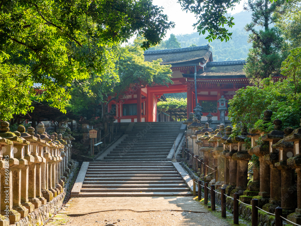 石灯籠が並ぶ春日大社の参道