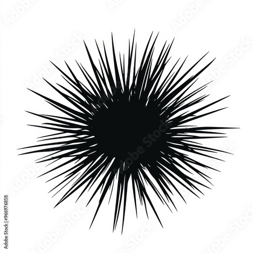 A black and white illustration of a sea urchin with many sharp spines.