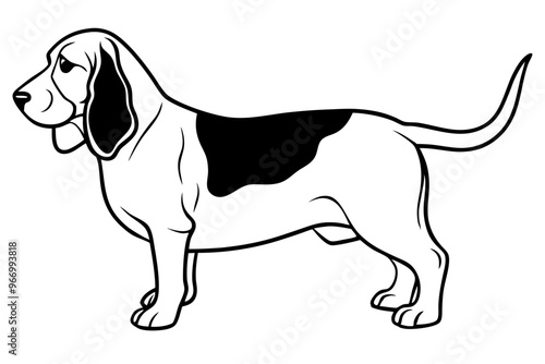 Basset Hound silhouette vector illustration photo