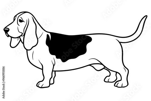 Basset Hound silhouette vector illustration photo