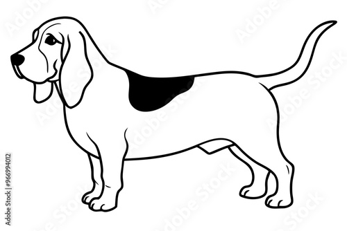 Basset Hound silhouette vector illustration