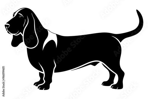 Basset Hound silhouette vector illustration photo