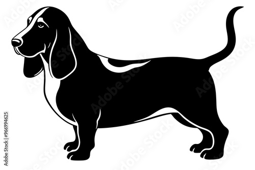 Basset Hound silhouette vector illustration photo