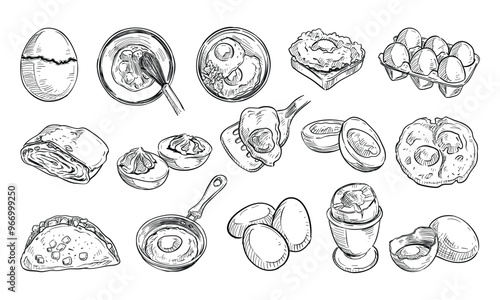 chicken eggs handdrawn collection