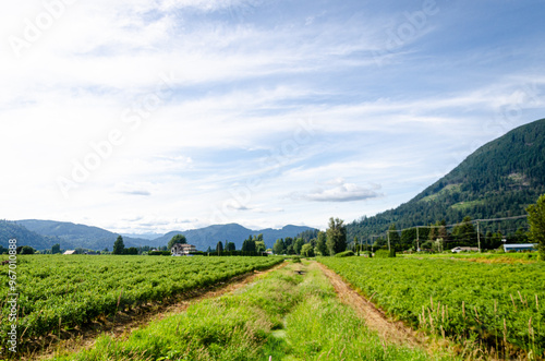 Agricultural farms in Fraser Valley, BC, Canada