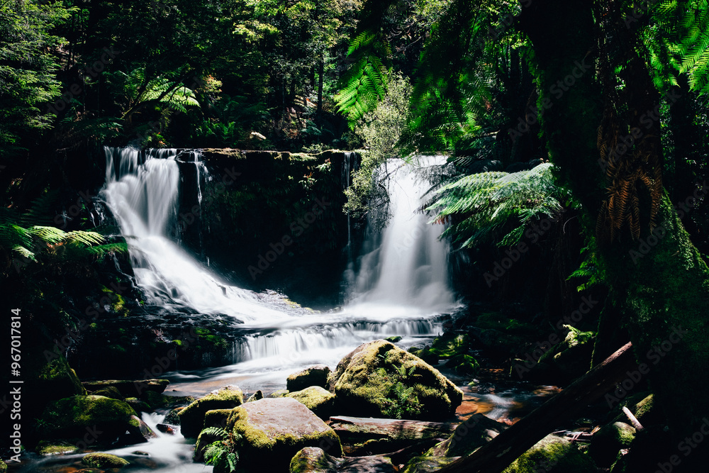Serene waterfall in lush forest with mossy rocks, Horseshoe Falls Serene waterfall in lush forest with mossy rocks, Horseshoe Falls