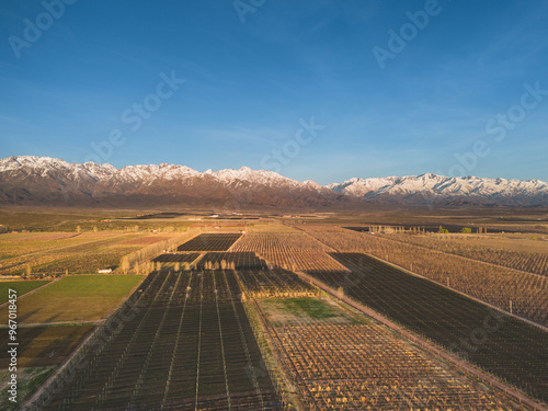 aerial view of vineyard plantations in the Andes photo