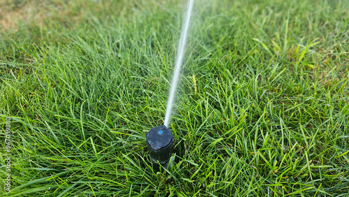 Sprinkler emits a fine mist of water over vibrant green grass