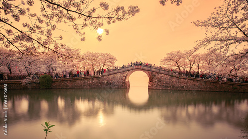 Wallpaper Mural sakura bridge over lake Torontodigital.ca