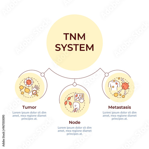 TNM system circular diagram infographic. Cancer diagnostics. Oncology. Tumor and metastasis. Data visualization with 3 options. Hierarchy chart round. Montserrat SemiBold, Lato Regular fonts used photo