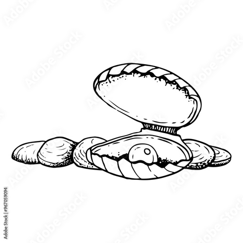 Pearl in sea shell mussel on seabed with rocks black and white vector illustration. Hand drawn line sketch of freshwater animal. Monochrome drawing for underwater and marine designs