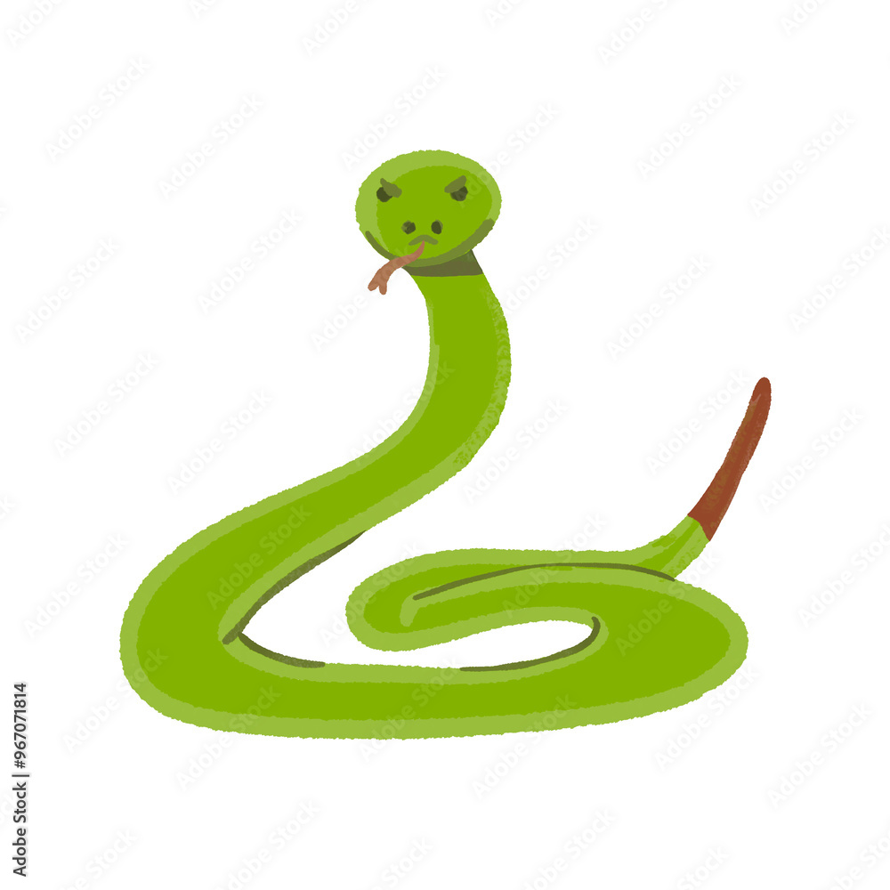 Fototapeta premium Snake 