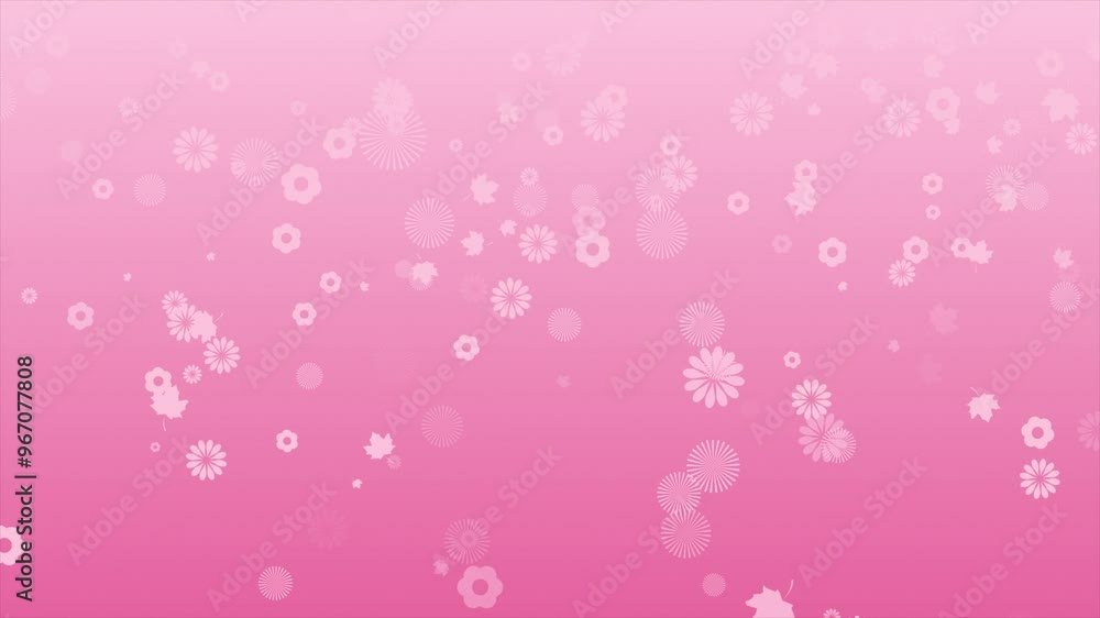 Magenta red color slowly moving elegant and simple flowers falling downwards beautiful background, floral pattern modern background Magenta red color slowly moving elegant and simple flowers falling downwards beautiful background, floral pattern modern background