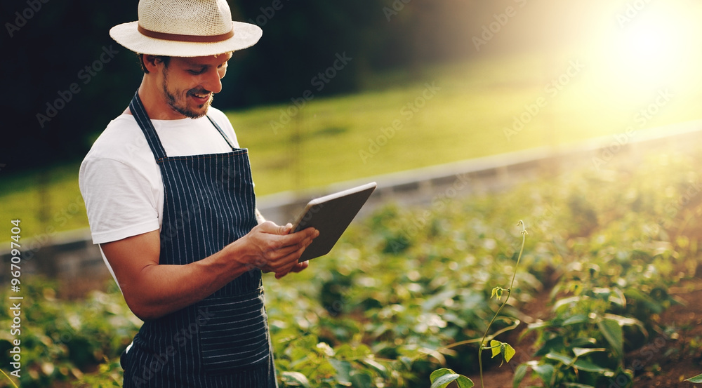 Agriculture, farmer and man with tablet, typing and internet with quality control. Nature, growth or employees with plants, technology or inspection for vegetables, sustainability or harvest with app Agriculture, farmer and man with tablet, typing and internet with quality control. Nature, growth or employees with plants, technology or inspection for vegetables, sustainability or harvest with app
